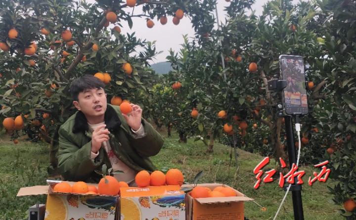 暖心！獨(dú)臂青年賣豬難 社會(huì)各界“搭把手”