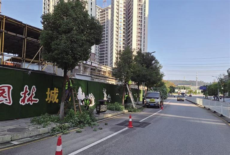 關(guān)于《這些樹該修剪了》的回復(fù)